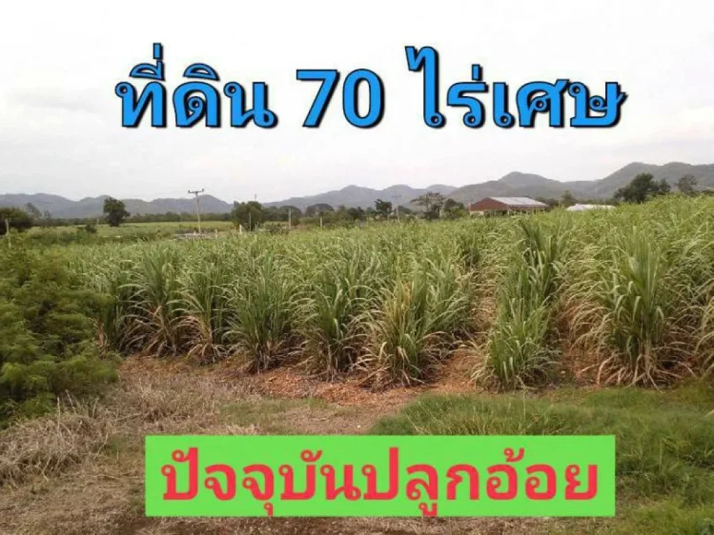 ที่ดินเกษตร 70 ไร่เศษ วิวภูเขา ราคาถูก ตำบล แสลงพัน วังม่วง สระบุรี