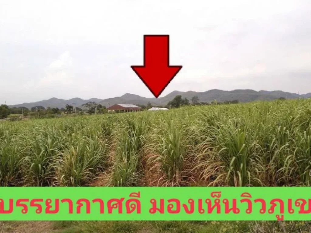 ที่ดินเกษตร 70 ไร่เศษ วิวภูเขา ราคาถูก ตำบล แสลงพัน วังม่วง สระบุรี