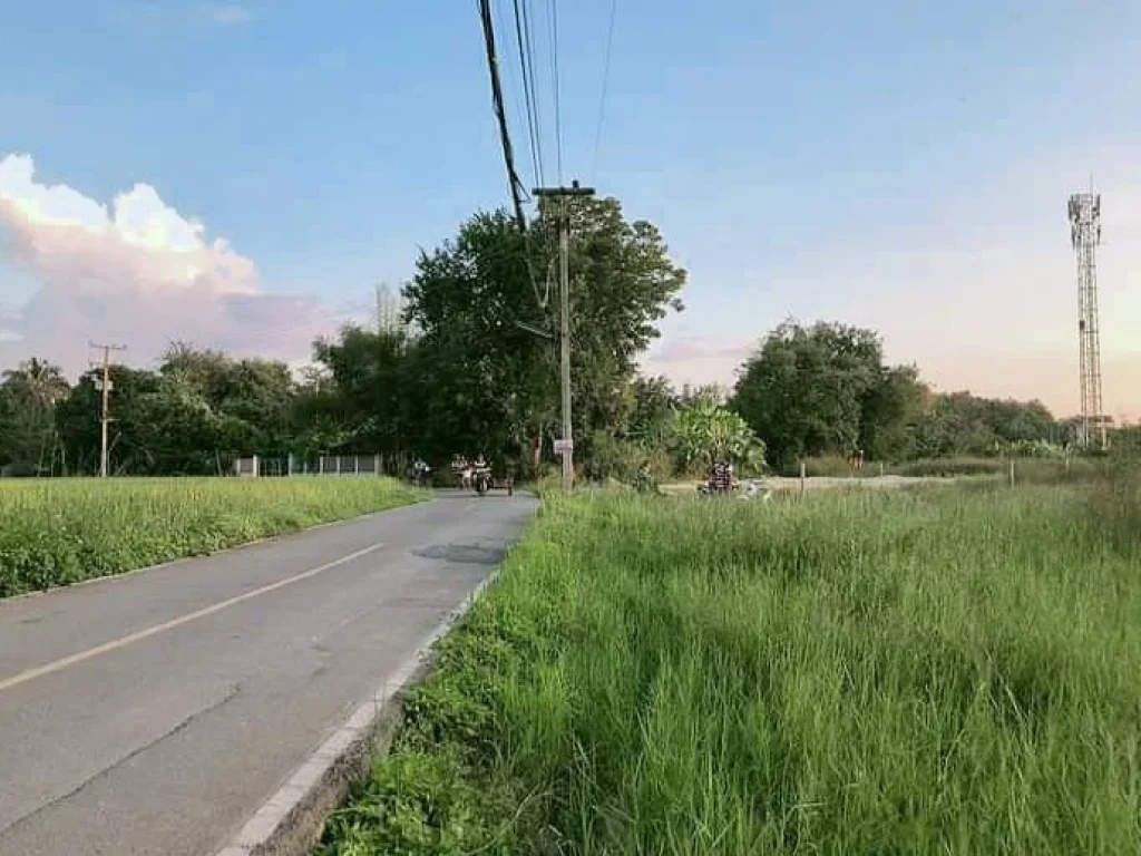 ขายที่ดินติดถนนค้าขายได้ ท่ารั้ว สันปูเลย ดอยสะเก็ต ราคาถูก