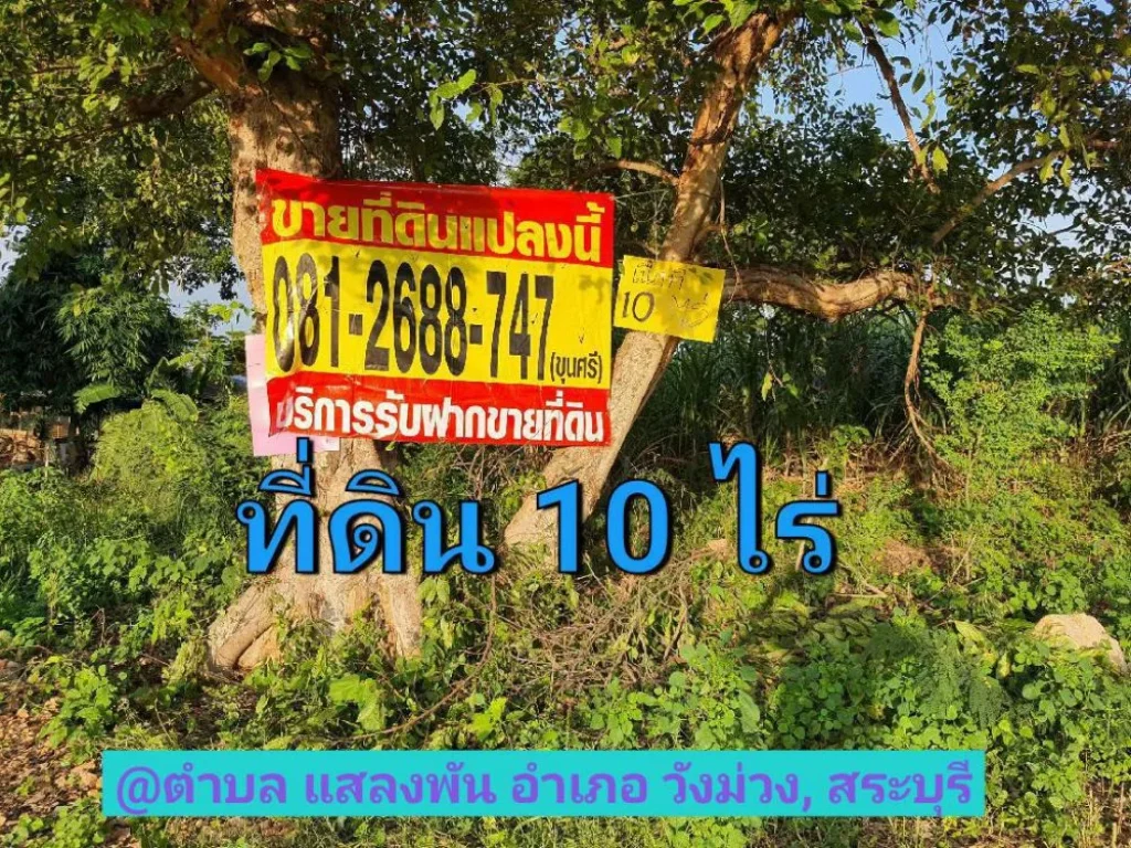 ขายที่ดินราคาถูก 10 ไร่ ติดคลองสาธารณะ ด้านหลังวิวภูเขา ตำบล แสลงพัน อำเภอ วังม่วง สระบุรี