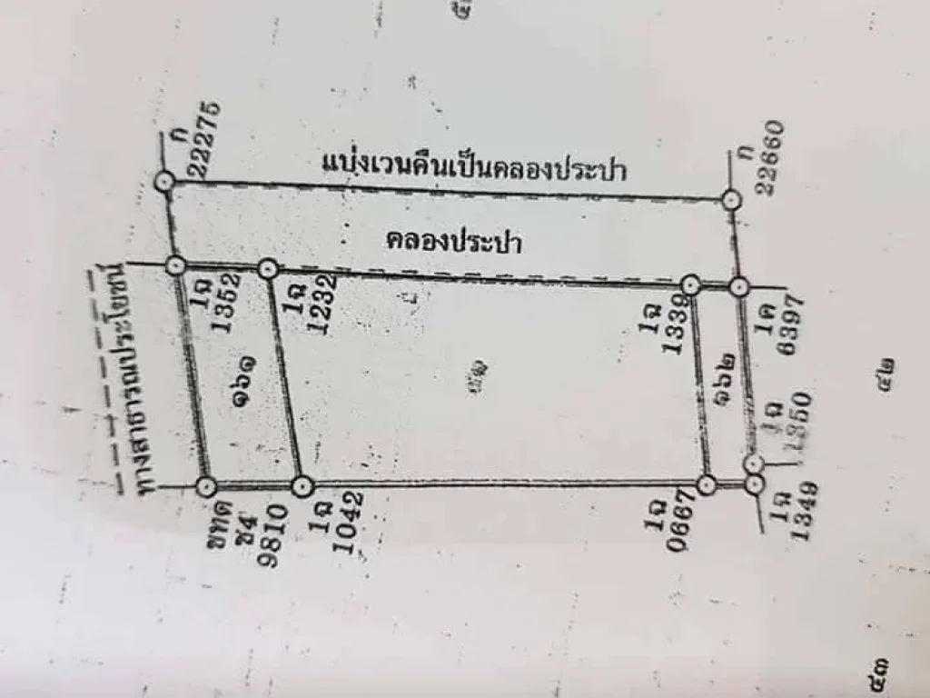 ขายที่ดินถมแล้ว เส้น รังสิต ปทุม 210ตรว อำเภอเมืองปทุม จังหวัดปทุมธานี ทำเลและบรรยากาศดีมาก ราคาถูก เจ้าของขายเอง ต่อรองได้ รับนายหน้า