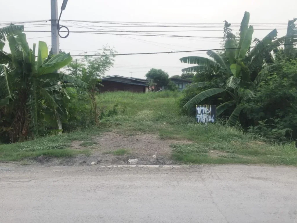 ขายที่ดินถมแล้ว เส้น รังสิต ปทุม 210ตรว อำเภอเมืองปทุม จังหวัดปทุมธานี ทำเลและบรรยากาศดีมาก ราคาถูก เจ้าของขายเอง ต่อรองได้ รับนายหน้า