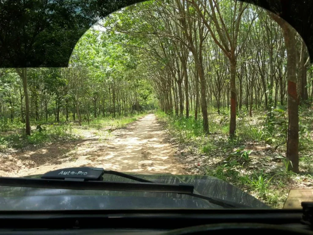 ขายที่ดินสวนยาง 33ไร่ มีโฉนด อำเภอเดชอุดม จังหวัดอุบลราชธานี