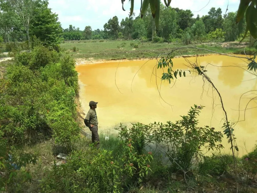 ขายที่ดินสวนยาง 33ไร่ มีโฉนด อำเภอเดชอุดม จังหวัดอุบลราชธานี