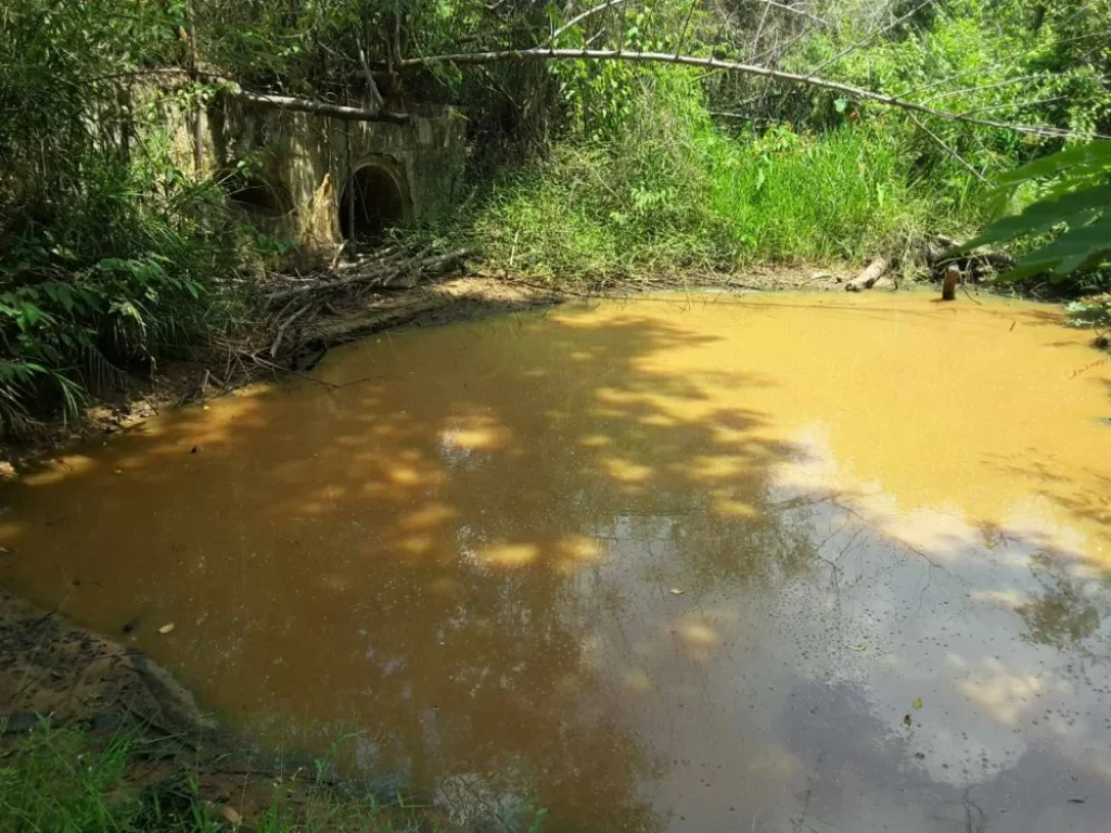 ขายที่ดินสวนยาง 33ไร่ มีโฉนด อำเภอเดชอุดม จังหวัดอุบลราชธานี