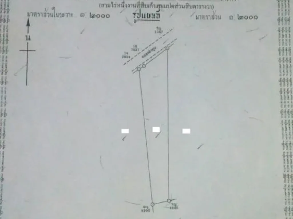 ขายด่วน ที่สวนยางพาราปาล์มบ้าน อบ้านนาเดิม จสุราษฎร์ธานี