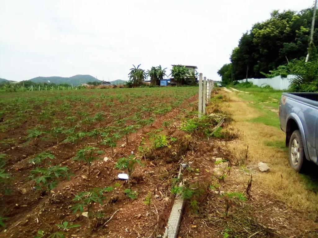 ขายที่ดินใกล้ตังจังหวัดเลย 4 ไร่ โฉนดเหมาะกับบ้านพักตากอากศหรือบ้านจัดสรร