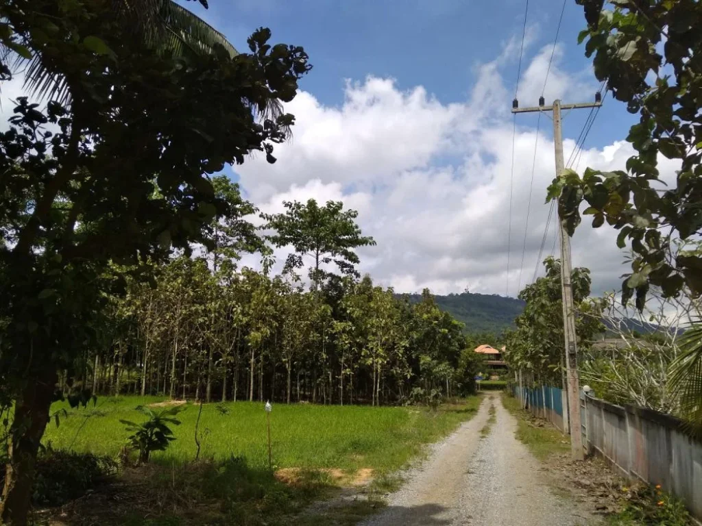 ที่ดินสวย วิวภูเขา บรรยากาศดี ไทยสามัคคี วังน้ำเขียว