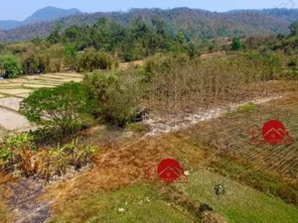 ที่ดินโฉนด ติดภูเขา ติดน้ำ ตสะเมิงใต้ เชียงใหม่ 7ไร่ 103 ตรว พร้อมโอน