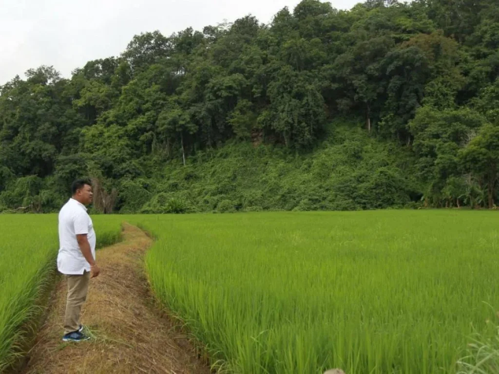 ขาย ที่ดินติดแม่น้ำปาย 12 ไร่ พร้อมบ้านพักติดภูเขา แม่ฮ่องสอน