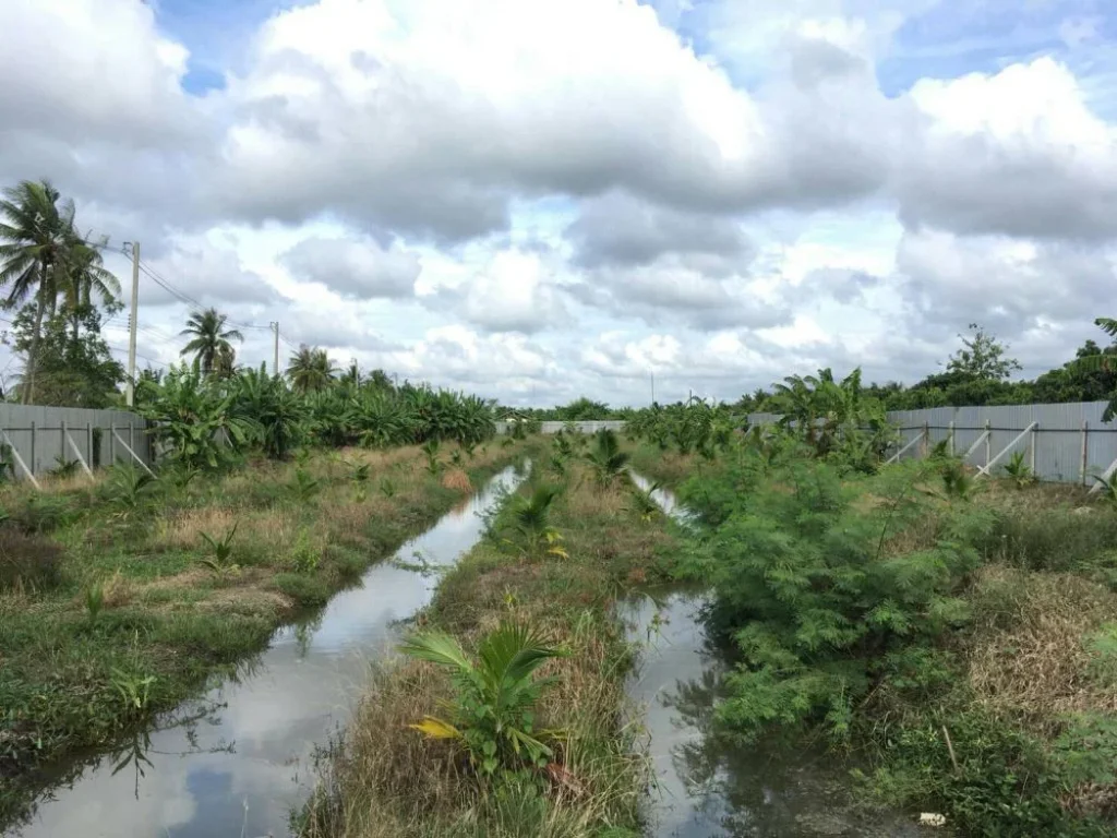 ขายที่ดิน พร้อมบ้านหลังใหญ่ อำเภอบ้านแพ้ว จังหวัดสมุทรสาคร