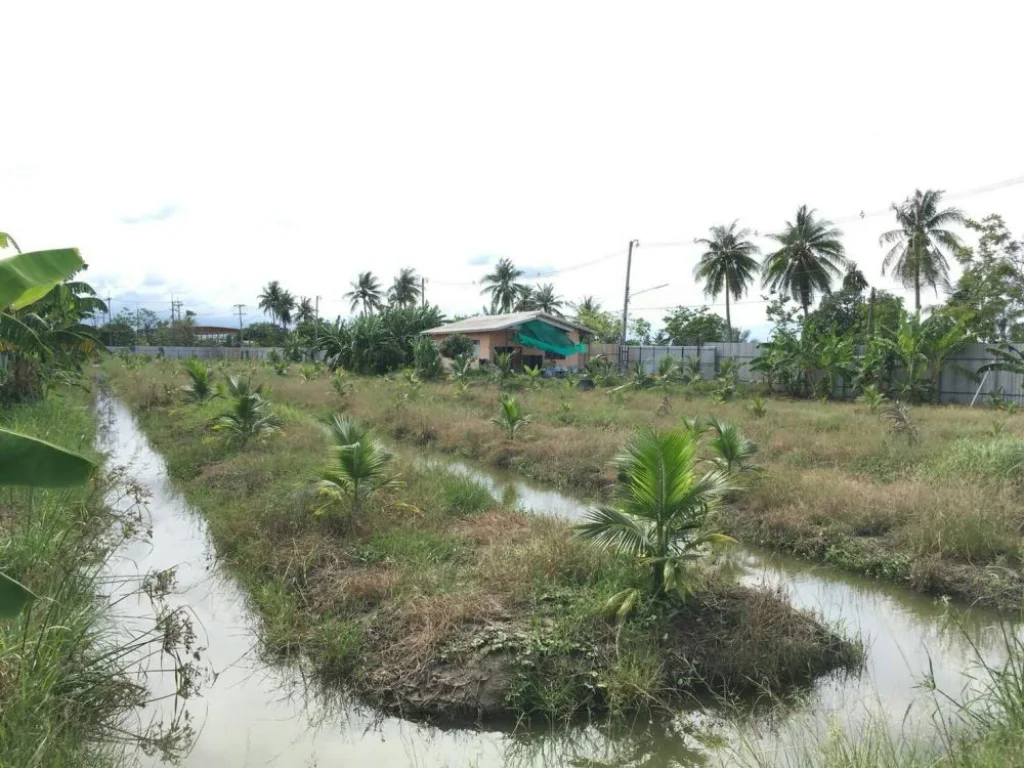 ขายที่ดิน พร้อมบ้านหลังใหญ่ อำเภอบ้านแพ้ว จังหวัดสมุทรสาคร