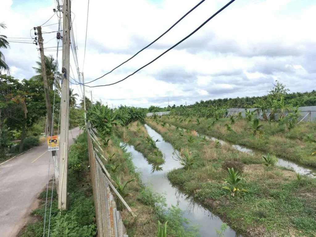 ขายที่ดิน พร้อมบ้านหลังใหญ่ อำเภอบ้านแพ้ว จังหวัดสมุทรสาคร