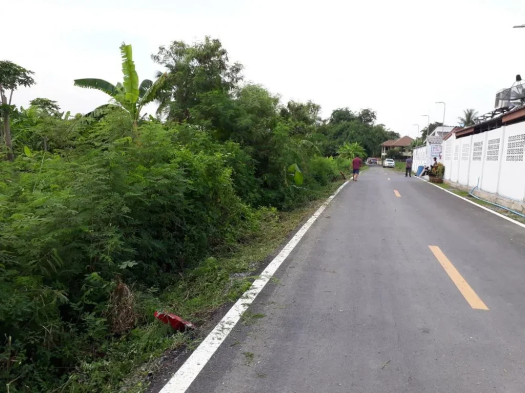 ขายด่วนมากๆ ที่ดินจัดสรร 100 ตรว ถนนดาวทอง อพุทธมณฑล