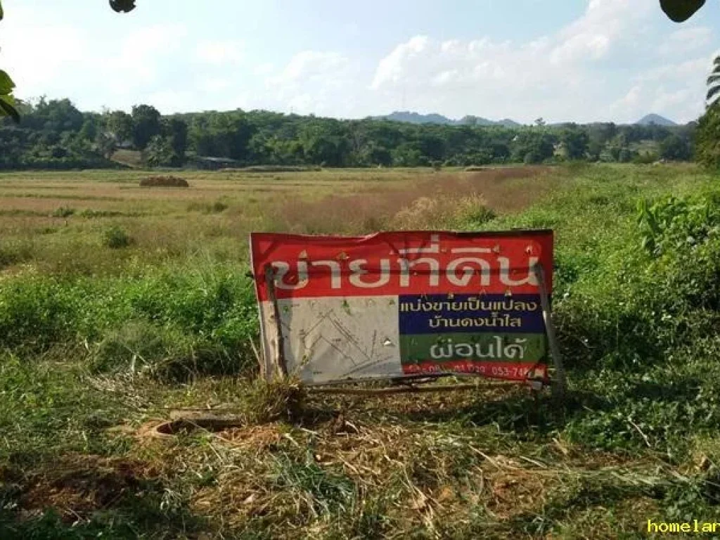 ขายที่ดินวิวสวย บรรยากาศดี ราคาถูก ติดถนนทางหลวงแผ่นดิน เชียงราย -แม่สรวย  ฝาง ตรวละ 1600 บาท อำเภอแม่สรวย เชียงรายย