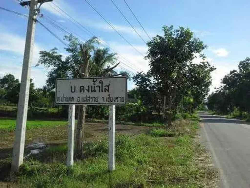 ขายที่ดินวิวสวย บรรยากาศดี ราคาถูก ติดถนนทางหลวงแผ่นดิน เชียงราย -แม่สรวย  ฝาง ตรวละ 1600 บาท อำเภอแม่สรวย เชียงรายย