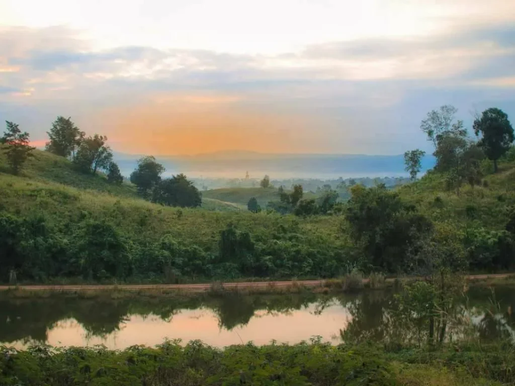 ขายที่ดินเนินหลังเต่า ใกล้สิงค์ปาร์คและวัดร่องขุ่น จังหวัดเชียงราย วิวสวยมาก อากาศดี มีแหล่งน้ำธรรมชาติล้อมรอบ เนื้อที่ 51-3-53 ไร่