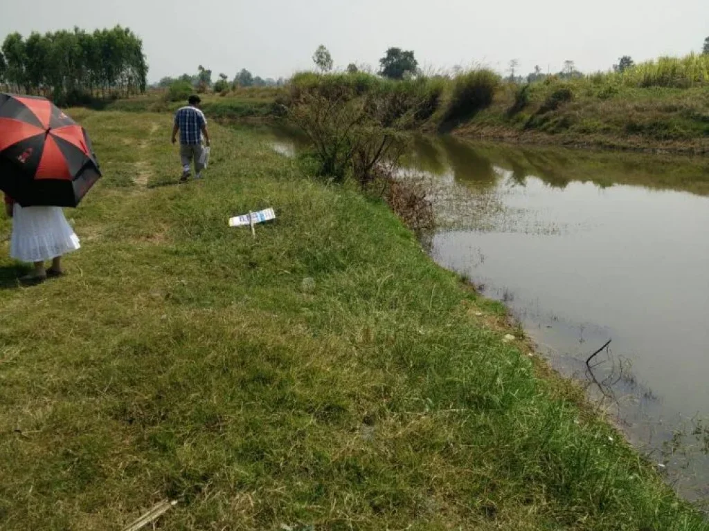 ที่ดินบ้านขุย ลำทะเมนชัย โคราช ติดแหล่งน้ำเพื่อทำการเกษตร