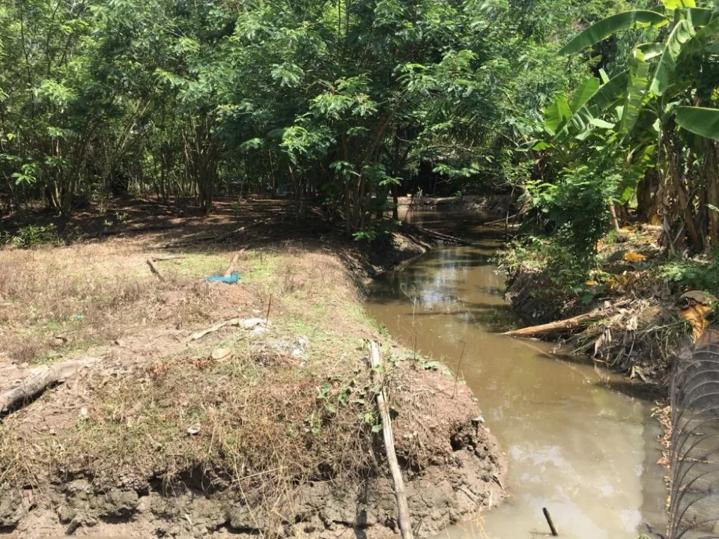 ขายที่ดินติดถนนทางหลวงชนบทปทุมธานี 4001 ระหว่างคลองหลวง หนองเสือ