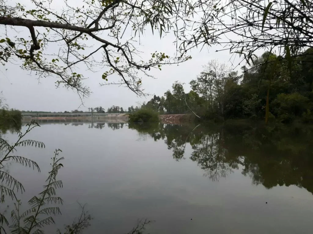 ขายที่ดิน ใกล้แหล่งท่องเที่ยว อำเภอศรีเมืองใหม่ จังหวัดอุบลราชธานี