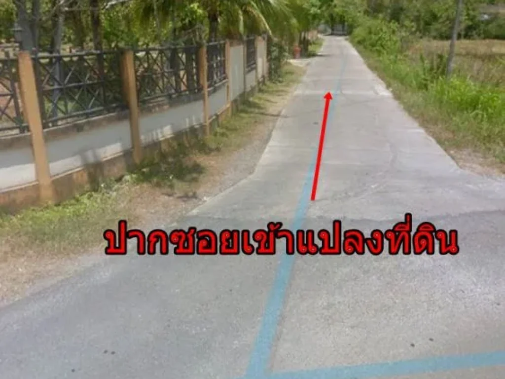 ขายที่ดินทำเลดี ใกล้รพธนบุรี-ทุ่งสง