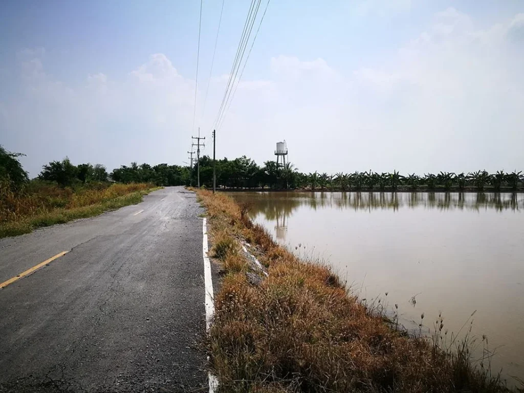 ขายที่ดินสวยใกล้วัดบัวปากท่า บางเลน ที่นา 3 ไร่ เหมาะกับปลูกบ้าน