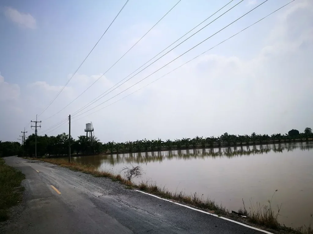 ขายที่ดินสวยใกล้วัดบัวปากท่า บางเลน ที่นา 3 ไร่ เหมาะกับปลูกบ้าน