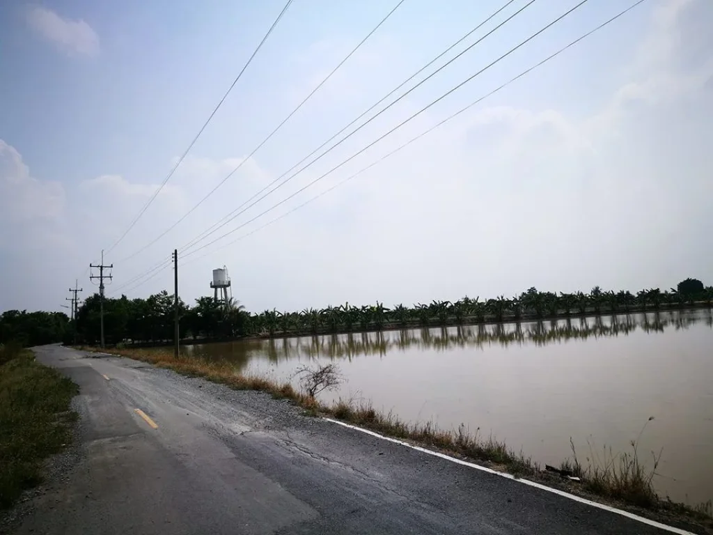 ขายที่ดินสวยใกล้วัดบัวปากท่า บางเลน ที่นา 3 ไร่ เหมาะกับปลูกบ้าน