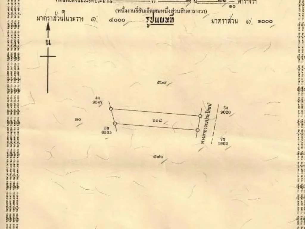 ขายบ้านเดี่ยวพร้อมที่ดิน 353 ตรว ห่างถนนสุขุมวิท 150 เมตร ใกล้ทะเล ใกล้ห้างสรรพสินค้า ใกล้ตลาดบ้านเพ จระยอง