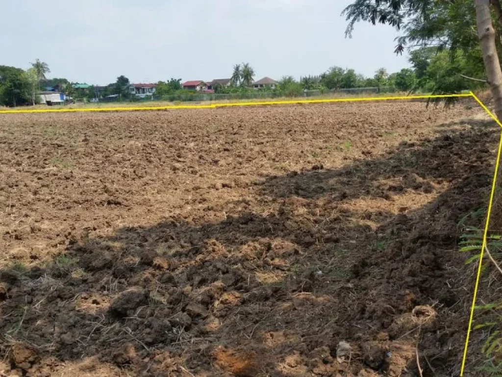 ขายที่นา จุดเดียวที่เหลืออยู่บริเวณรอบข้างเป็นบ้านจัดสรรหมดแล้ว บ้านประโดกหมื่นไวย อเมืองนครราชสี ไร่ละ5000000 บาท