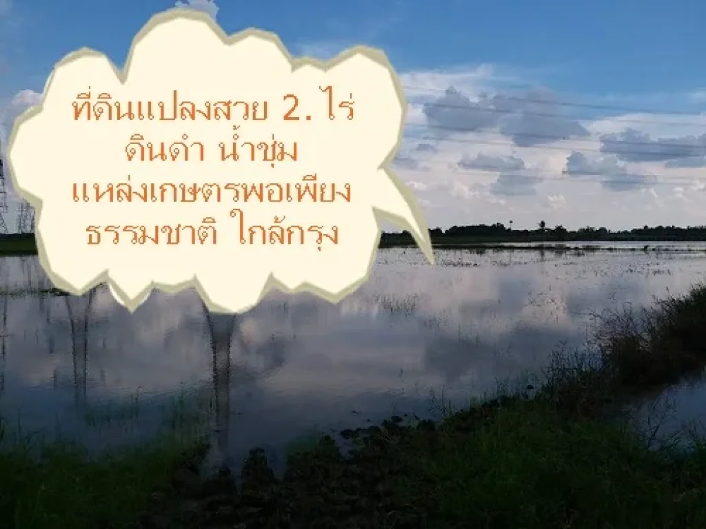 ขายที่ดิน 2ไร่ แปลงสวย ดินดำ น้ำชุ่ม ติดทางสัญจร แหล่งธรรมชาติ ที่ใกล้กรุง T084-5328653