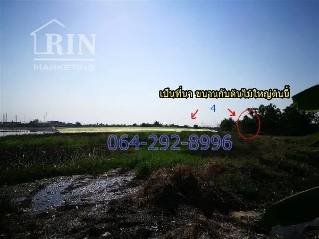 ที่ดินถูก 300 ตรว สุวินทวงศ์51 หนองจอก ทำเลดีใกล้ถนนใหญ่ 500m 064-292-8996