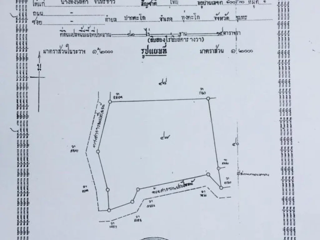 รับนายหน้า ขายสวนปาล์ม13ไร่ ทุ่งตะไคร ทุ่งตะโก ชุมพร ถูกมากกกจ้า