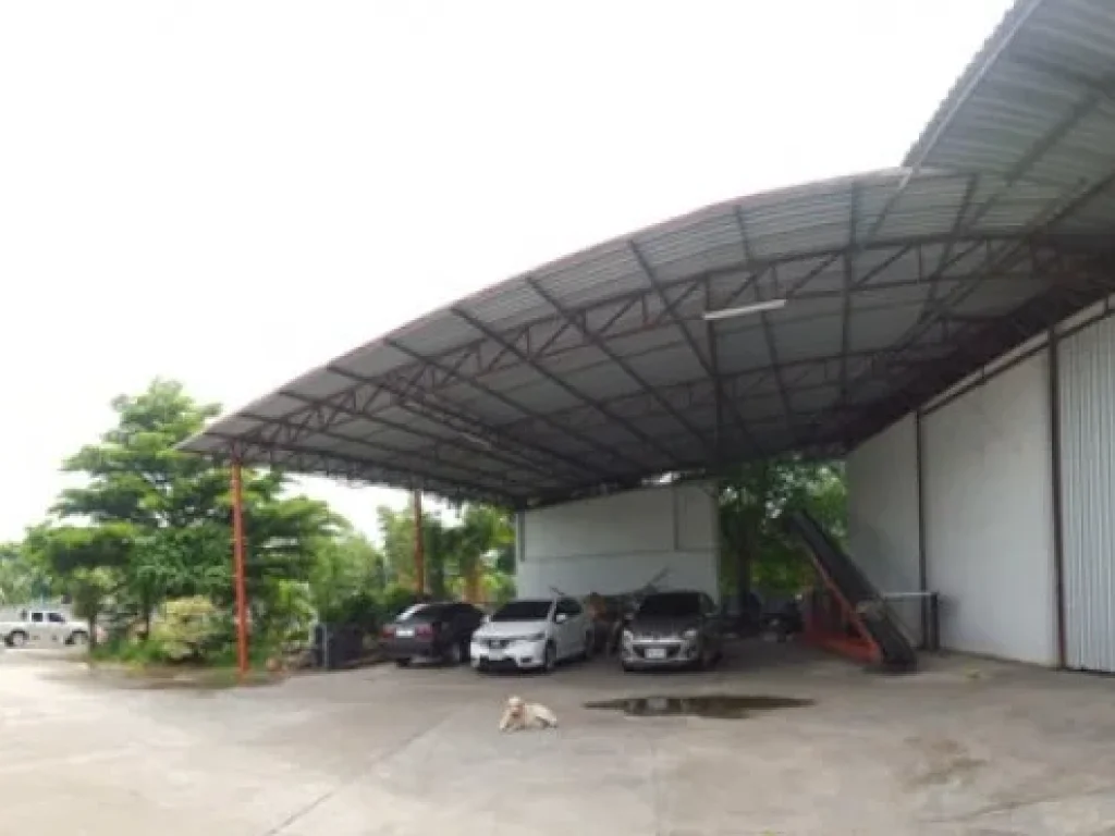 โกดังให้เช่า ตรงข้ามสถานีรถไฟ อำเภออุทุมพรพิสัย จังหวัดศรีสะเกษ Warehouse for rent at Utumpornphisai Srisaket