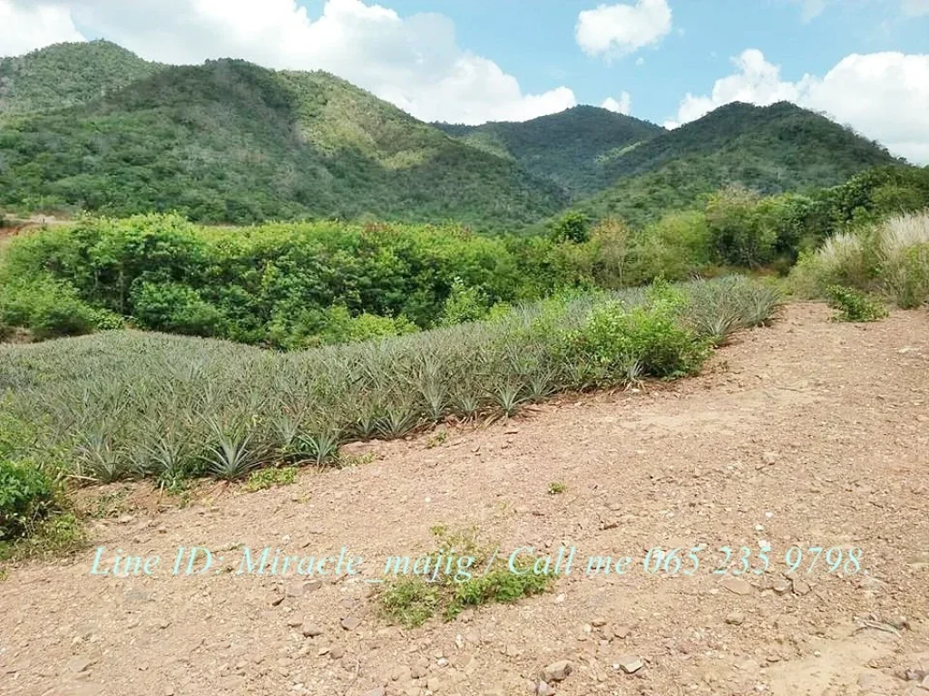 ที่ดินแปลงใหญ่บนเนินเขาวิวทิวทัศน์สวย