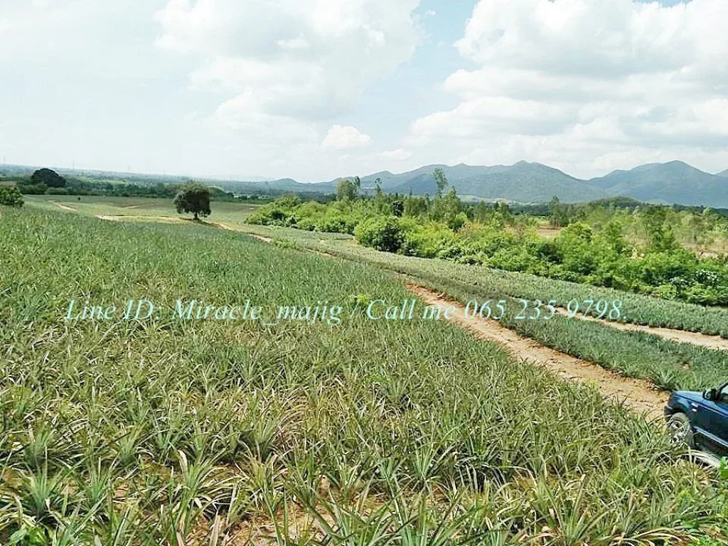 ที่ดินแปลงใหญ่บนเนินเขาวิวทิวทัศน์สวย