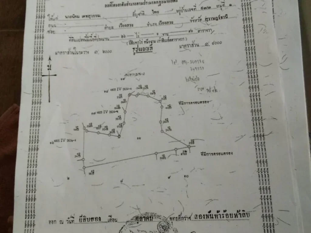 ขาย สวนปาล์ม 80 ไร่ ให้ผลผลิตแล้ว สภาพต้นสมบูรณ์ สินเจริญ พระแสง สุราษฎร์ธานี