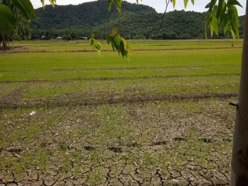 ขายที่ดินท่าม่วง กาญจนบุรี