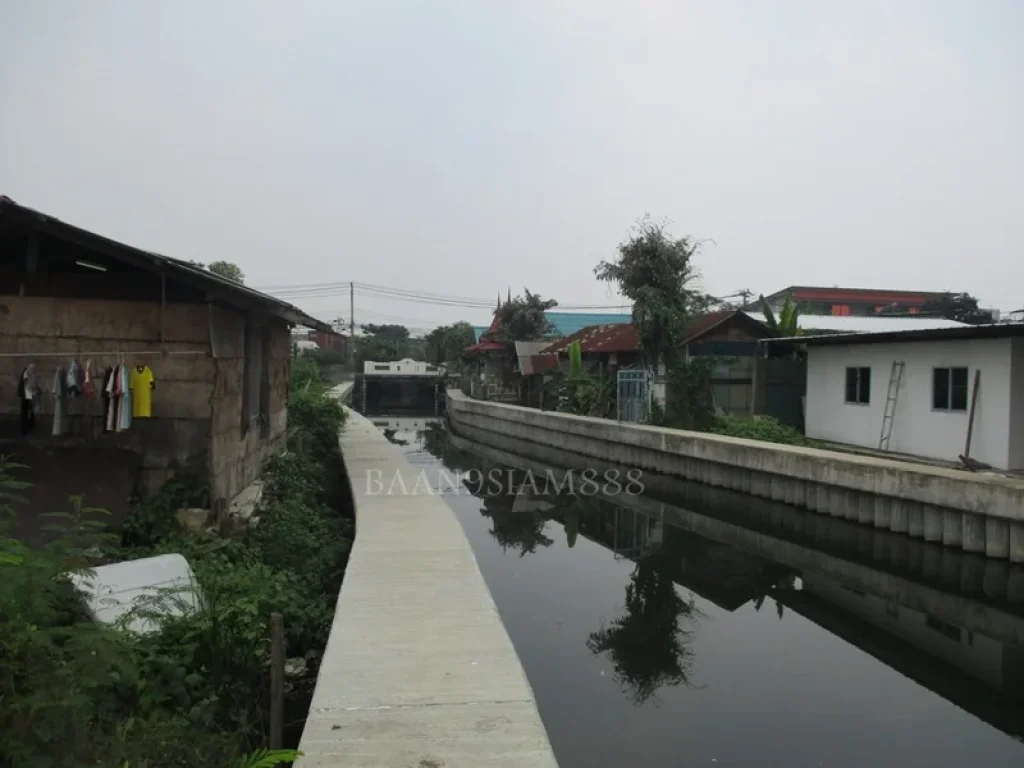 ที่ดินเปล่า ซอยวัดบางหัวเสือ