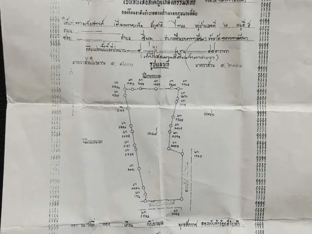 ขายที่ดินเปล่า จนครราชสีมา ติดถนนมอเตอร์เวย์ใหม่