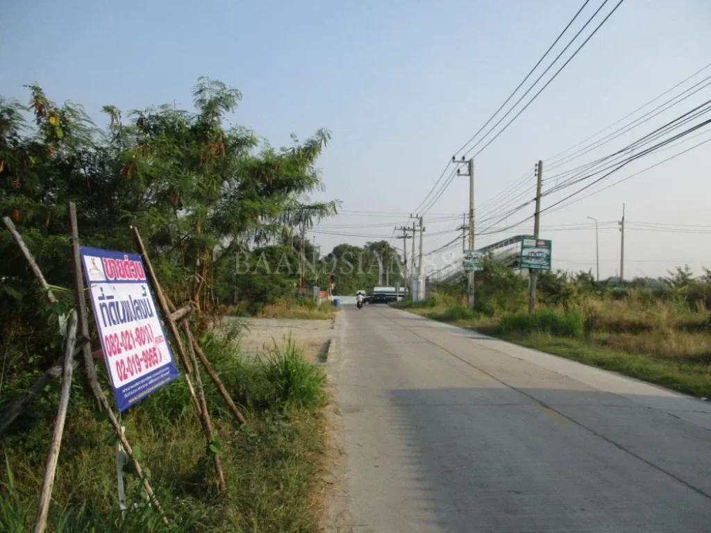 ที่ดิน ถนน ข้าวหลาม ขนาด 1020 ตรว