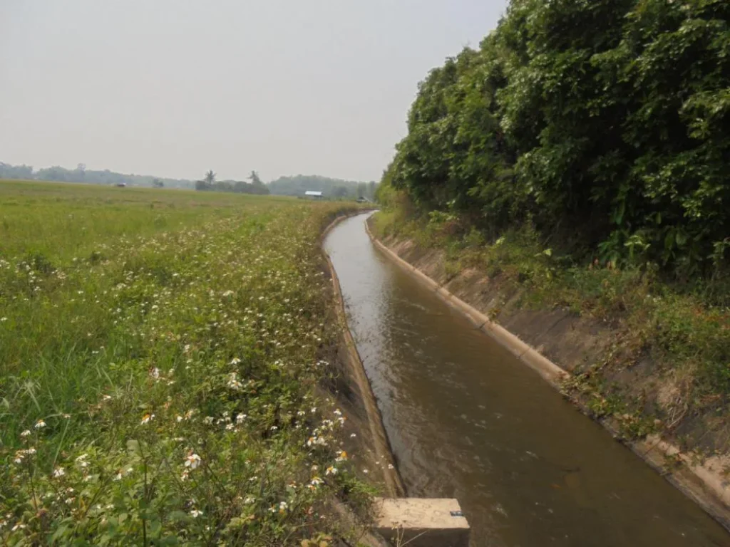 ขายที่ดินติดลำเหมืองสาธารณะใกล้โรงเรียมนานาชาติ แถวแม่ริม