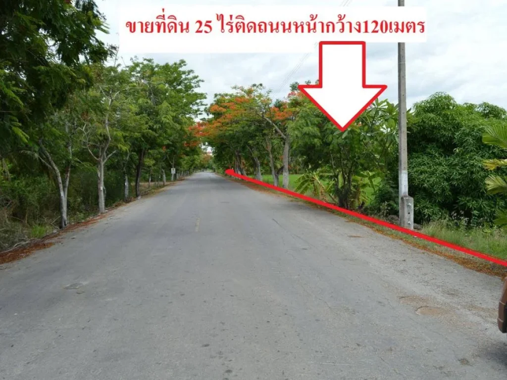 ขายที่ดิน25ไร่ ตคลองตัน อบ้านแพ้ว จสมุทรสาคร ที่ดินติดถนนราดยางหน้ากว้าง120เมตร ด้านหลังติดคลองมะพลับ ที่ดินเป็นสวนมะพร้าวและนาข้า