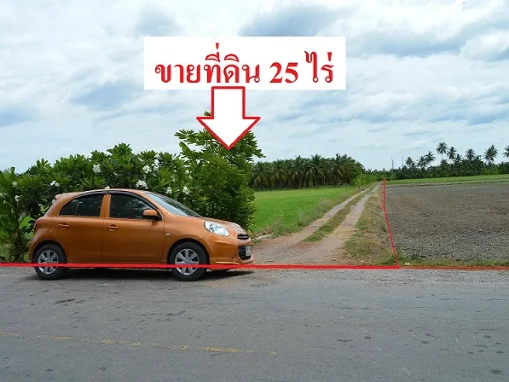 ขายที่ดิน25ไร่ ตคลองตัน อบ้านแพ้ว จสมุทรสาคร ที่ดินติดถนนราดยางหน้ากว้าง120เมตร ด้านหลังติดคลองมะพลับ ที่ดินเป็นสวนมะพร้าวและนาข้า