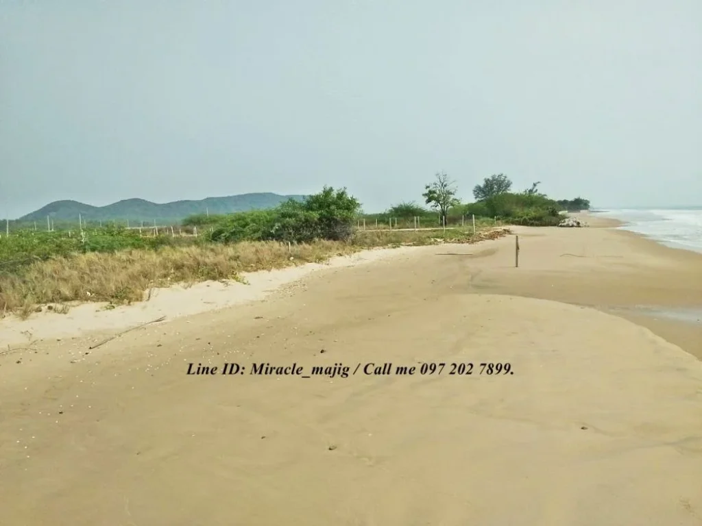 ขายที่ดินติดชายหาดแปลงสวยถมแล้ว