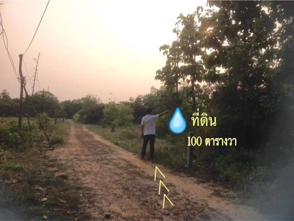 ขายที่ดิน ขนาด 100 ตรวา ซอยกิตติศักดิ์ จมุกดาหาร