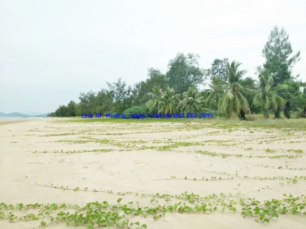 ขายที่ดินติดชายหาด ทรายขาว หาดสวย