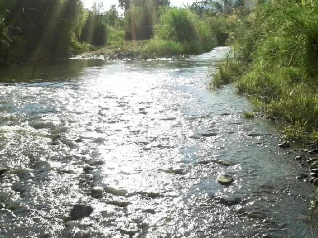 ขายที่ดินบ้านแม่หวานดอยสะเก็ต