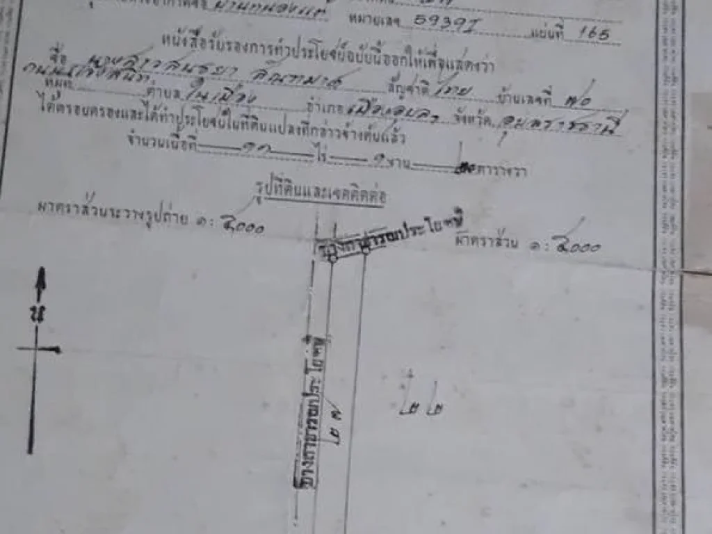 ขายที่ดินที่อเมืองอุบลตกระโสบ 11ไร่1งาน21ตรว 11ล้านบาท