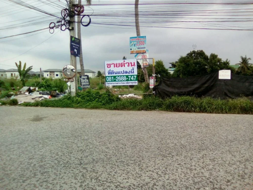 ขายที่ดิน 737 ตรว